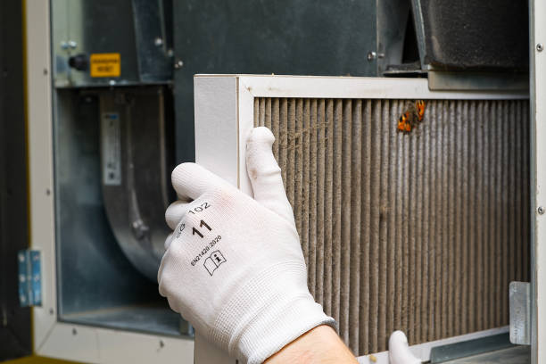 Best Emergency Air Duct Cleaning  in Moapa Valley, NV